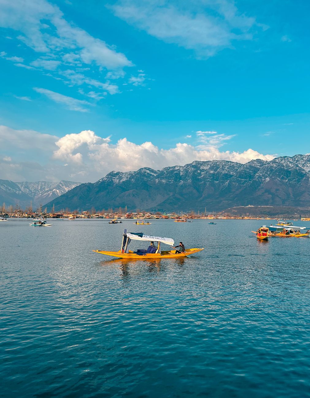 Shikara boats on Dal Lake in Srinagar