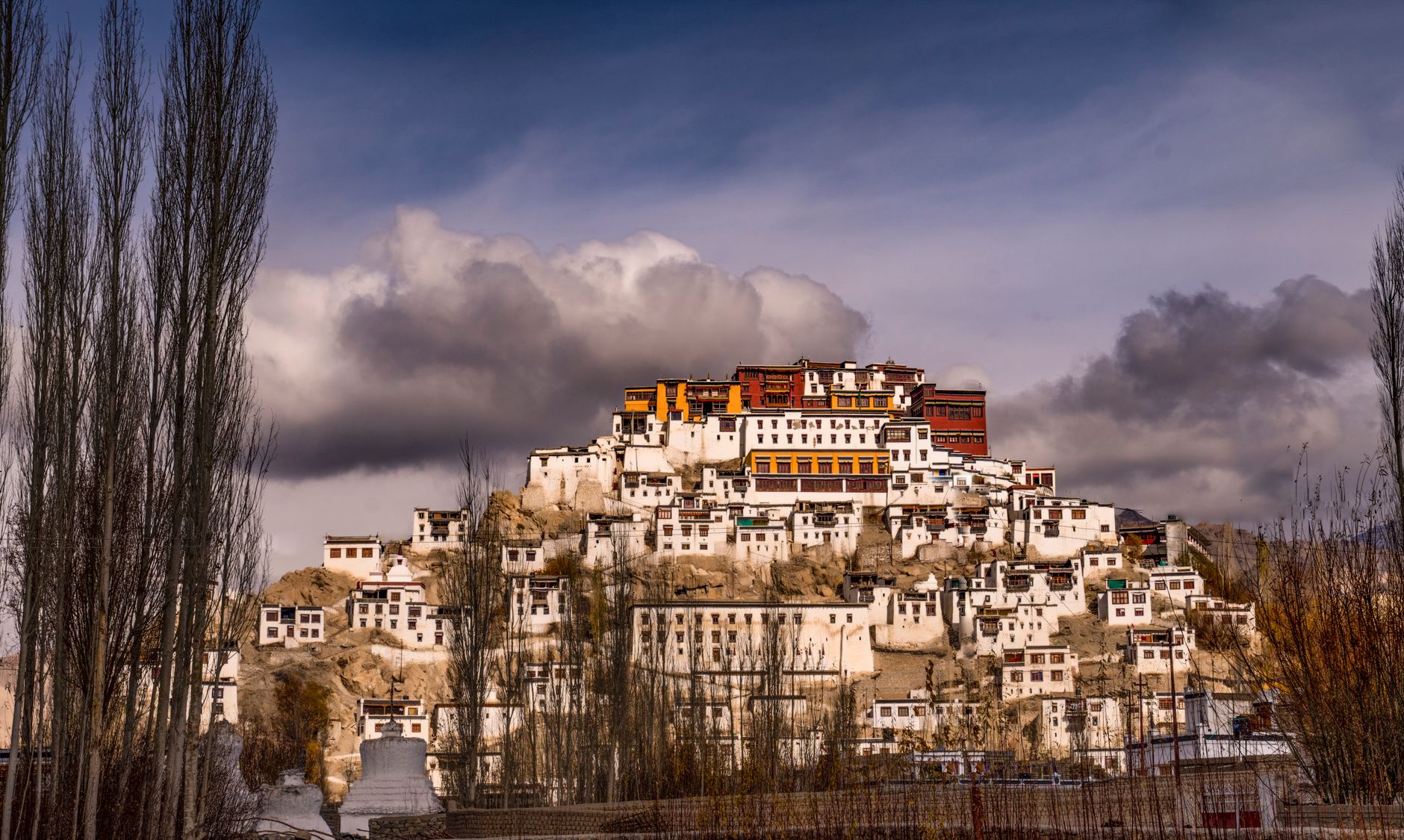 Thiksey Monastery, Ladakh